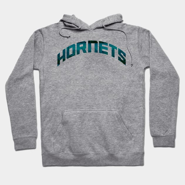 Hornets Hoodie by teakatir